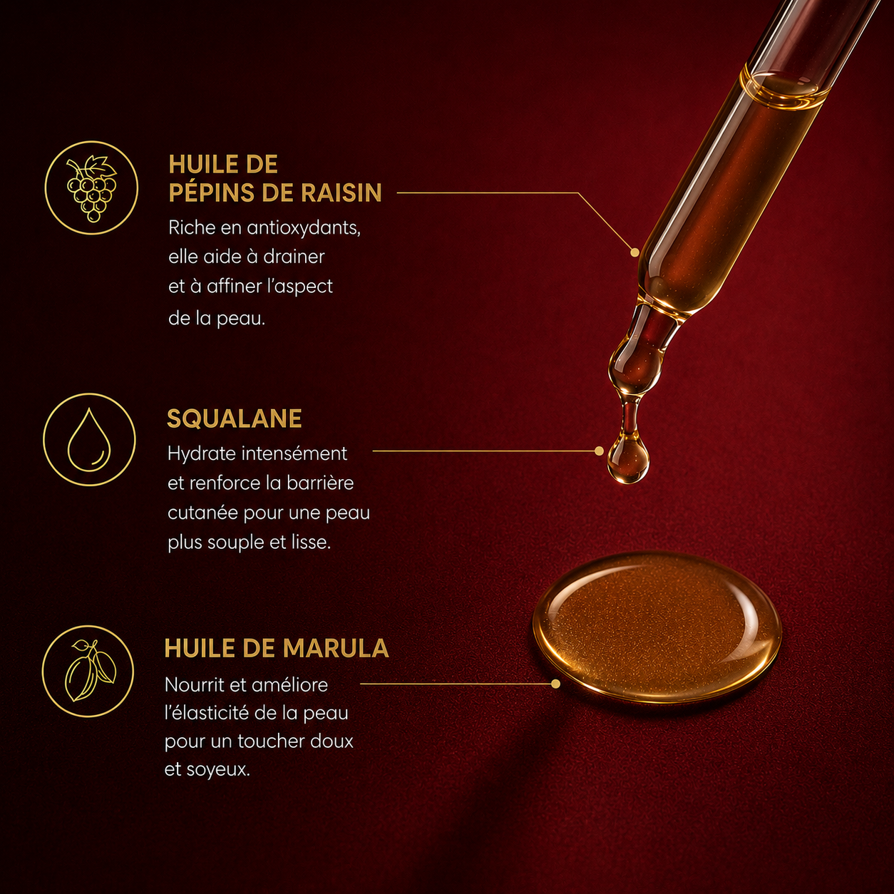 Actifs : pépins de raisin, squalane, marula