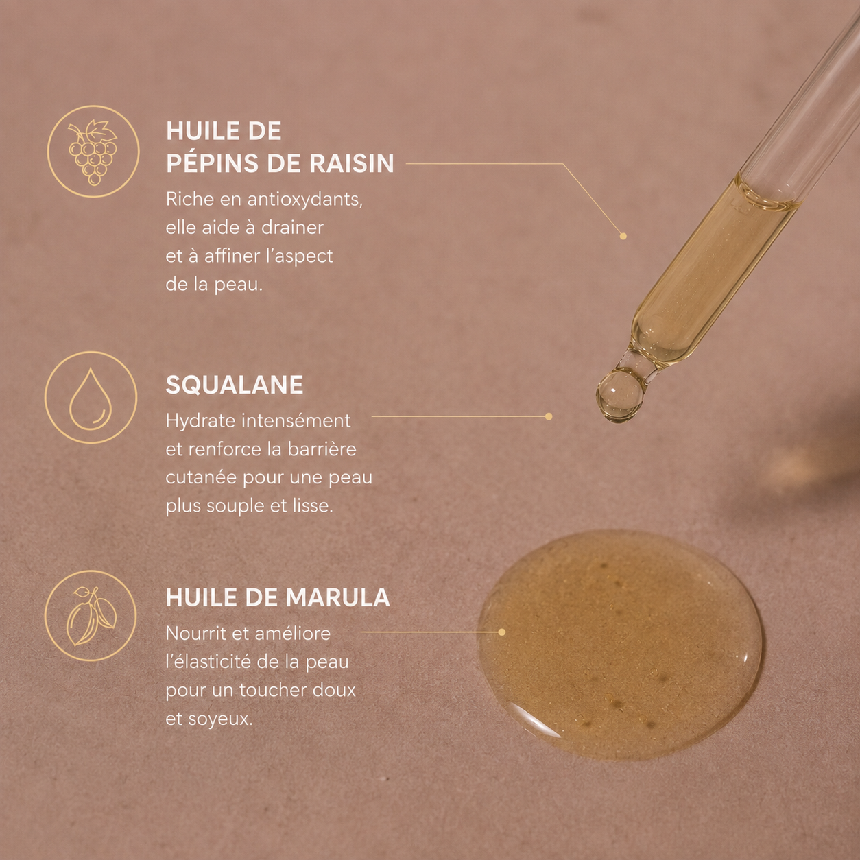 Pépins de raisin, squalane, marula : 100 % huiles végétales